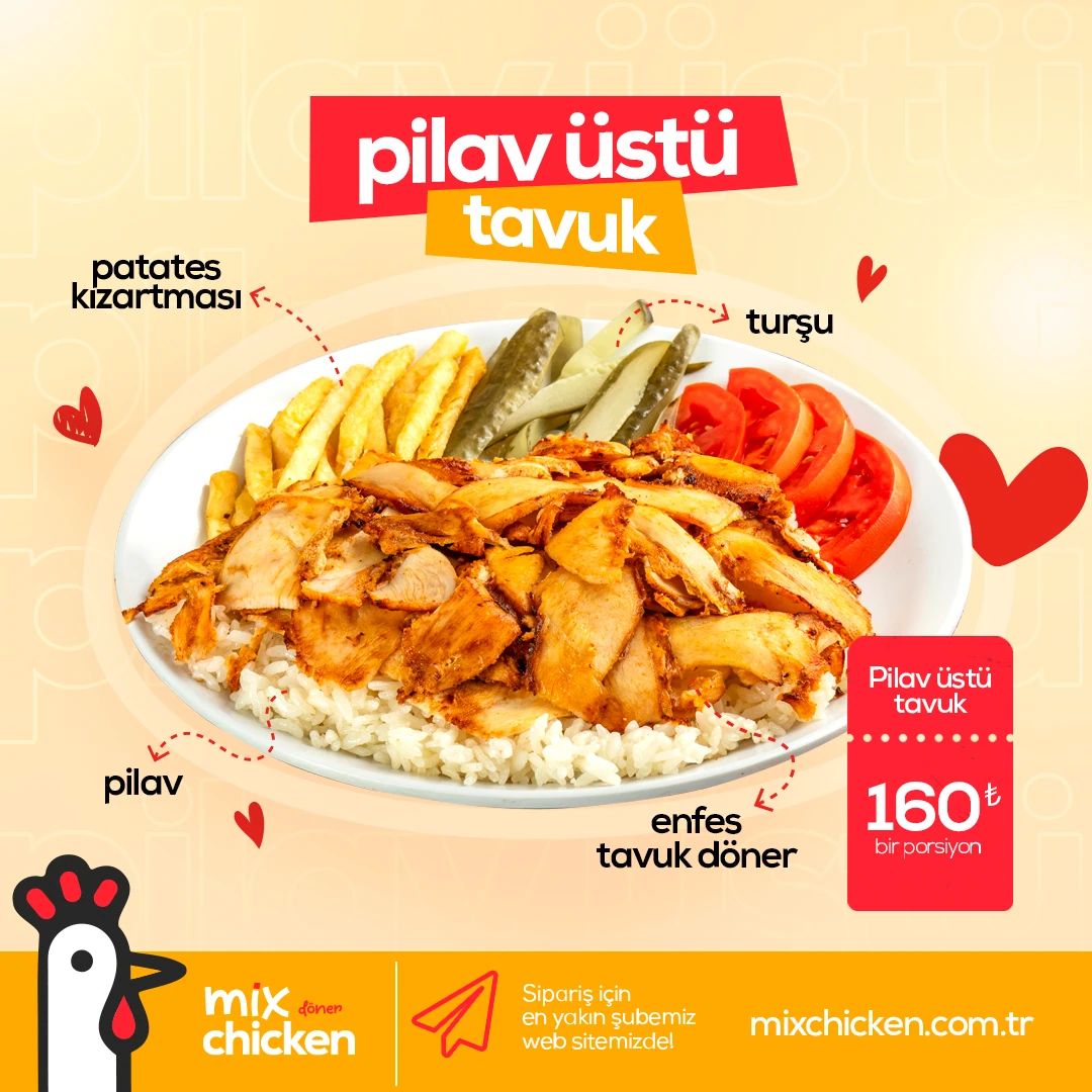 Chicken over rice post with the parts of the plate labelled