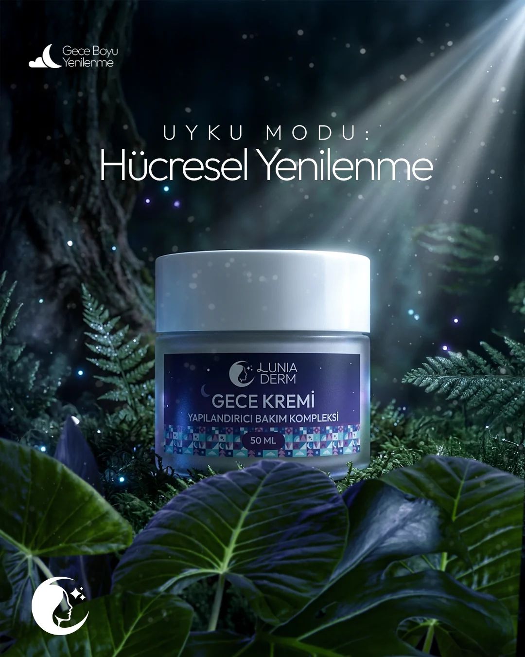 Ay ışığı süzülen orman sahnesinde Lunia Derm gece kremi